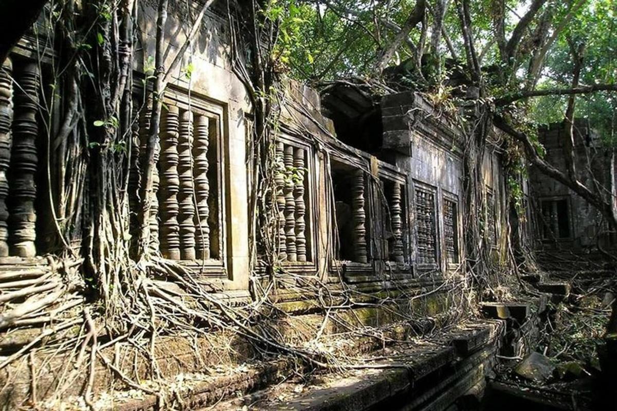 un vecchio edificio con alberi che crescono intorno