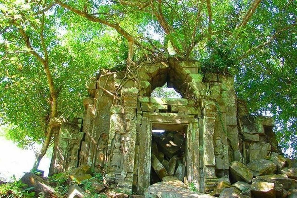 un vecchio edificio in pietra con un albero sopra