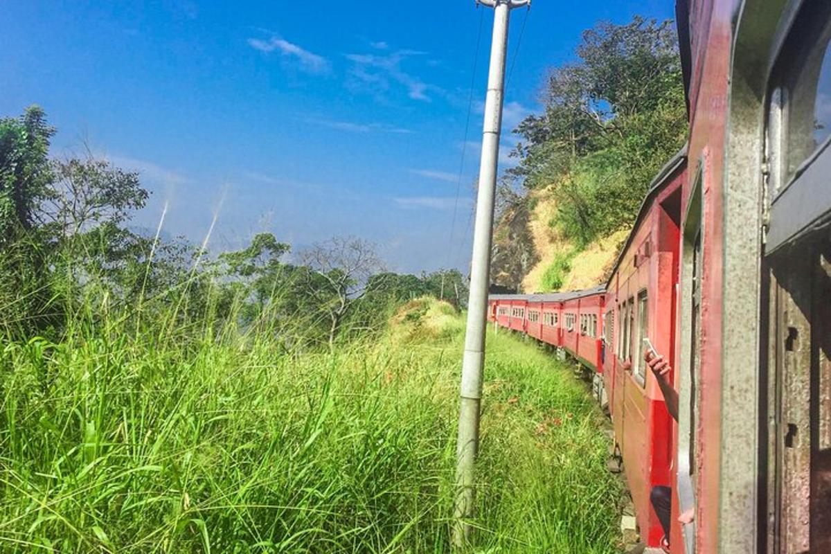 Fotografia da atração 3