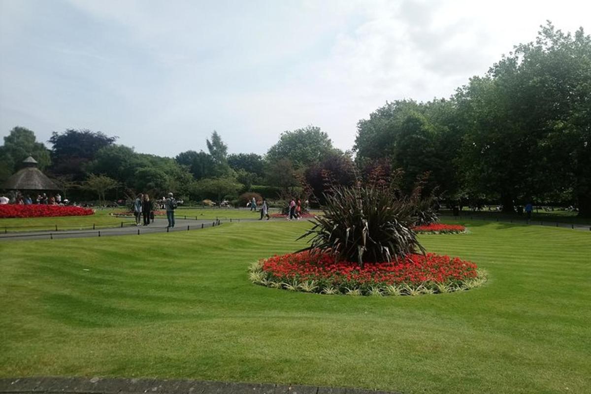 park s šopkom rož v travi