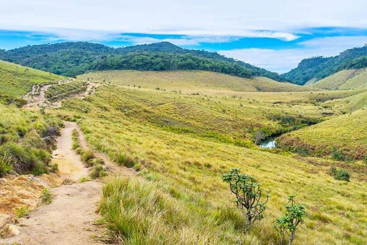 a dirt road on a grassy hill with a river