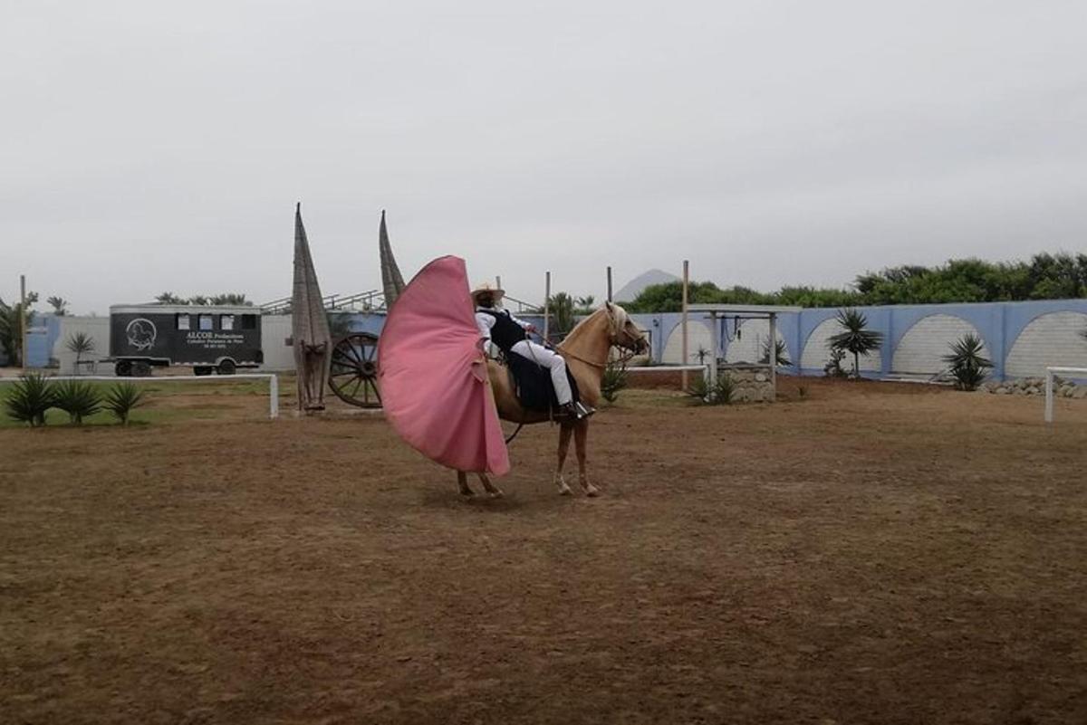 a person sitting on a horse with an umbrella