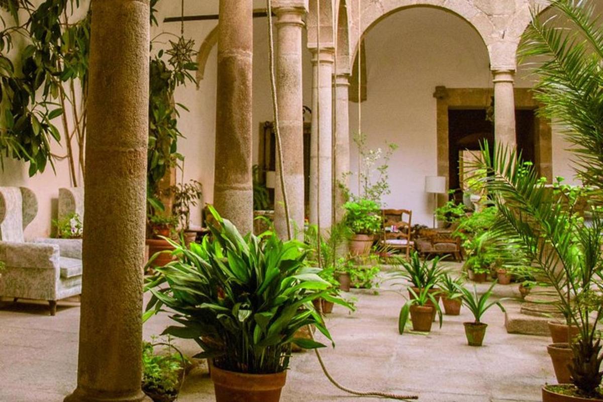 una habitació plena de moltes plantes en un edifici