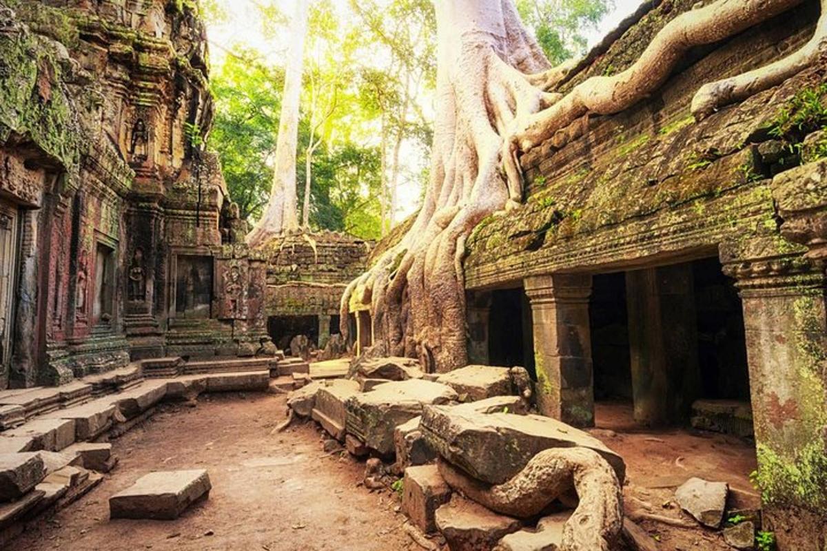 อาคารที่มีต้นไม้ขึ้นอยู่ด้านบน