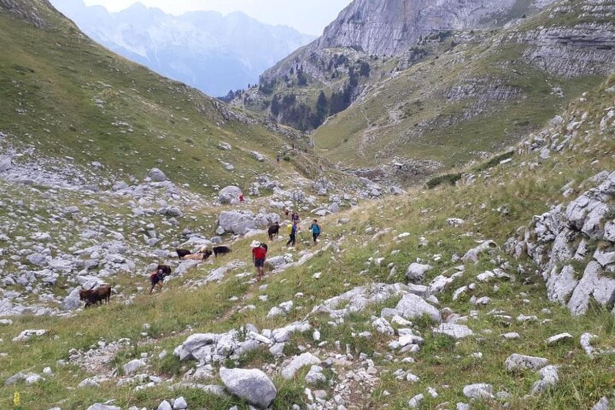hópur fólks sem gengur á grýttum fjalli