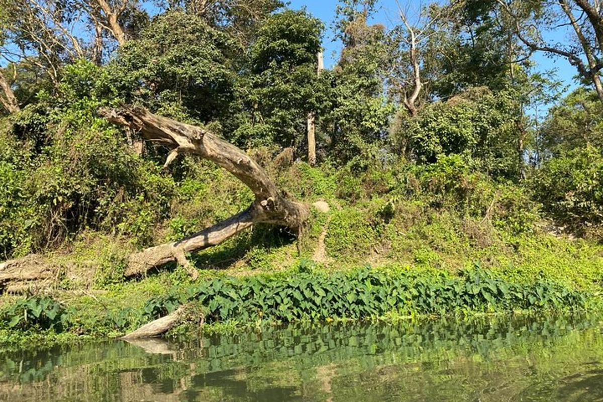 Fotografia da atração 3