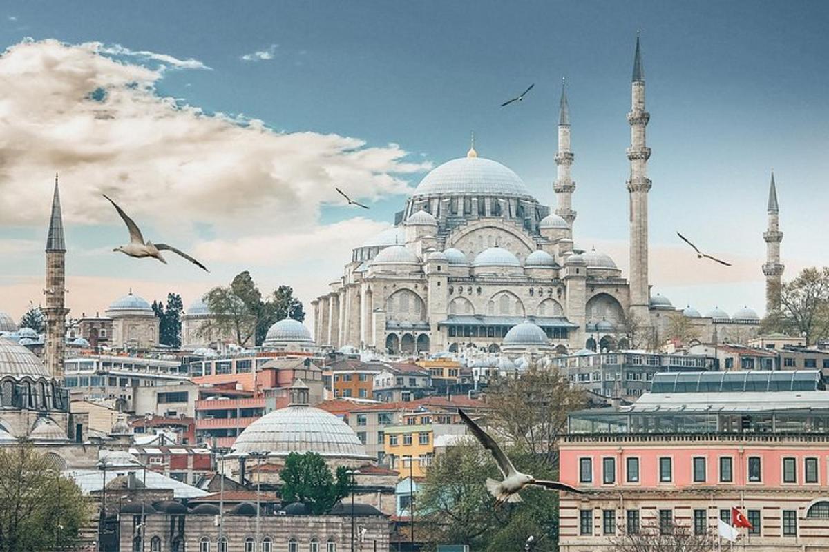 uma vista da mesquita de Ultan Ahmet em Istambul com pássaros