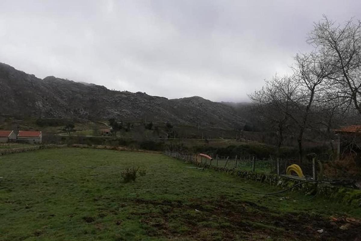 ένα χωράφι με γρασίδι με βουνά στο φόντο