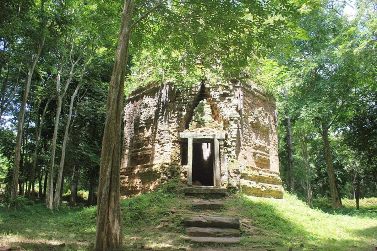 um antigo edifício de pedra no meio de uma floresta