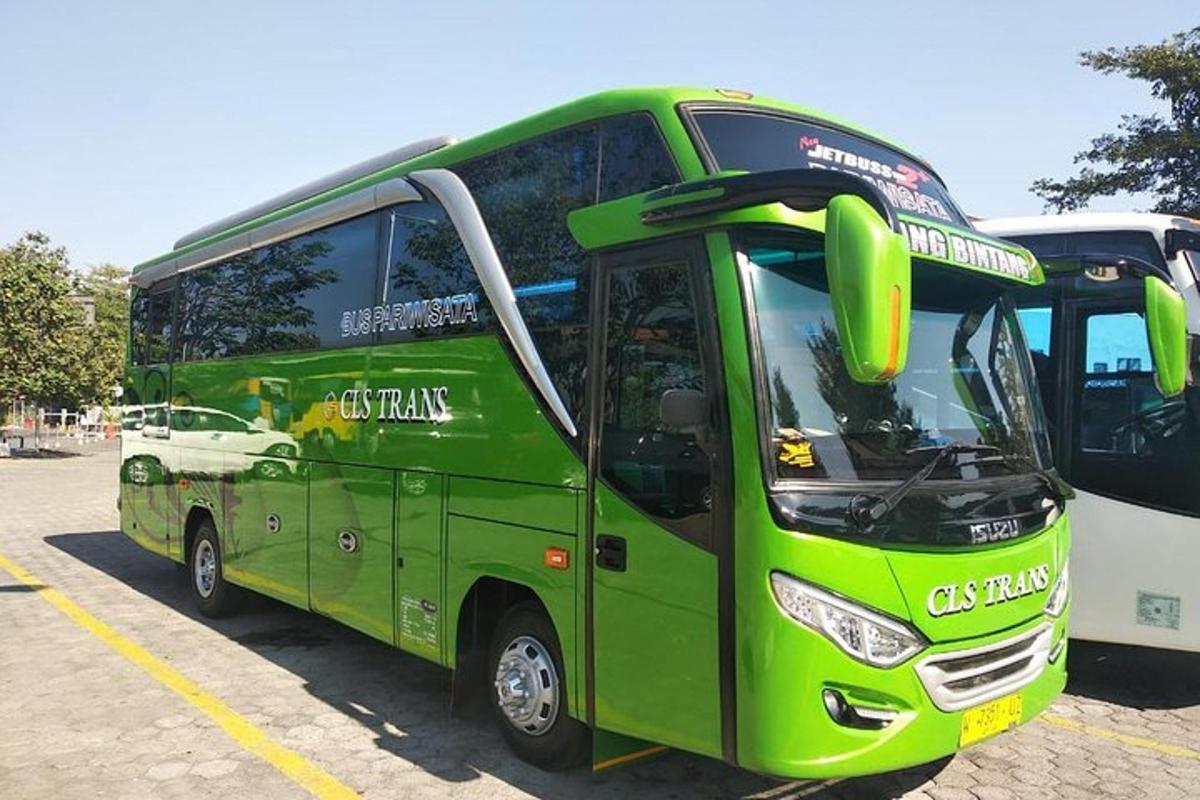 zelený autobus zaparkovaný vedle bílého autobusu