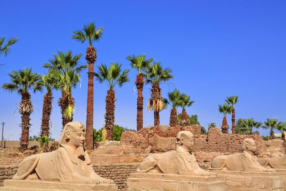مجموعة من التماثيل جالسة أمام أشجار النخيل