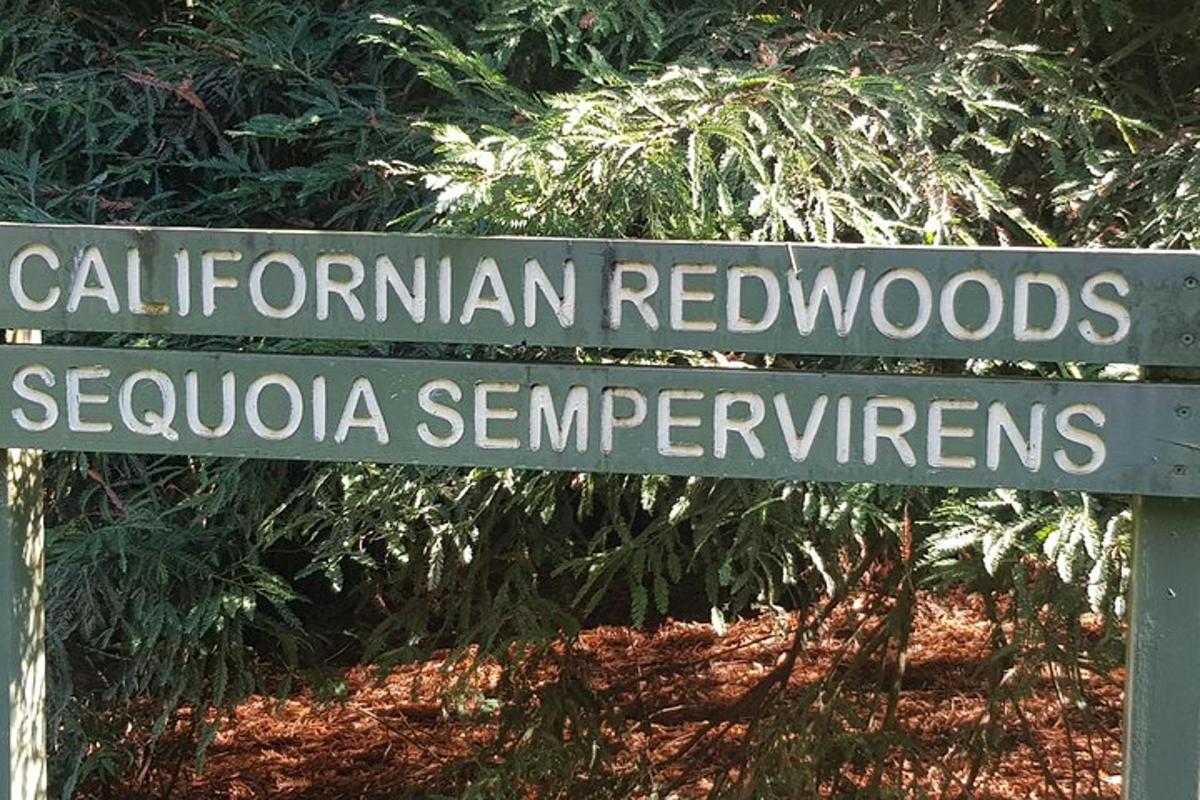uliční cedule pro kalifornské Red Woods a Selvaniaennappers