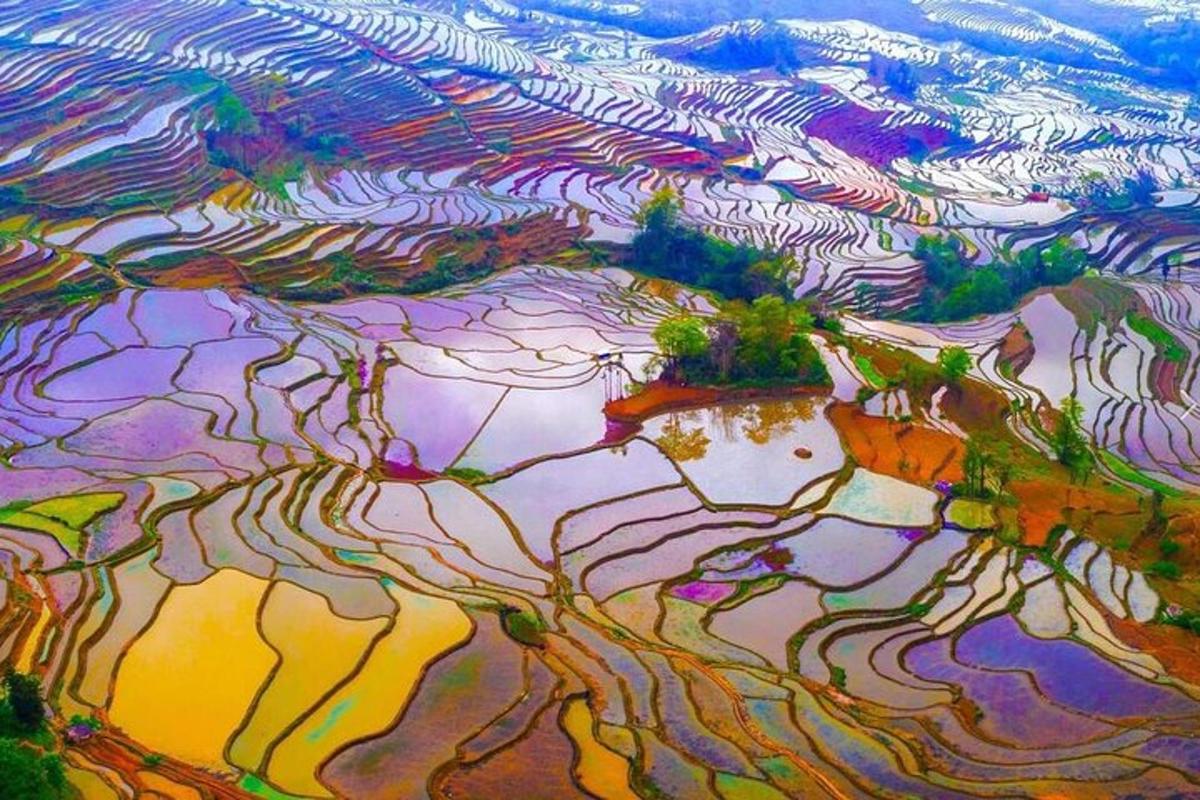 an aerial view of a painting of a field of crops