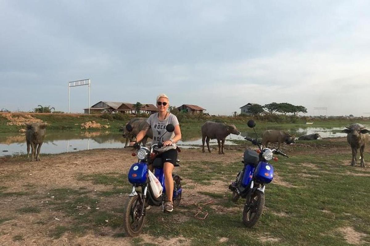 a man is sitting on two motorcycles in front of a herd of animals