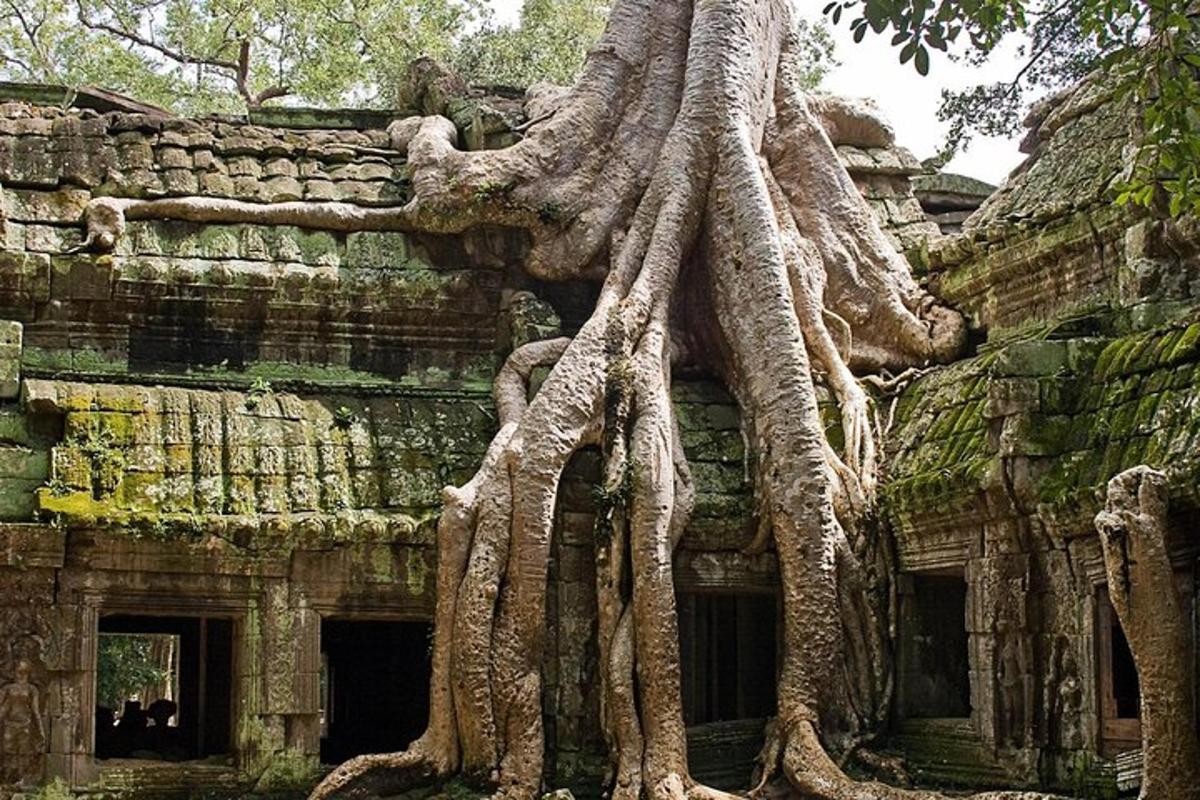 อาคารที่มีต้นไม้ขึ้นอยู่ด้านข้าง