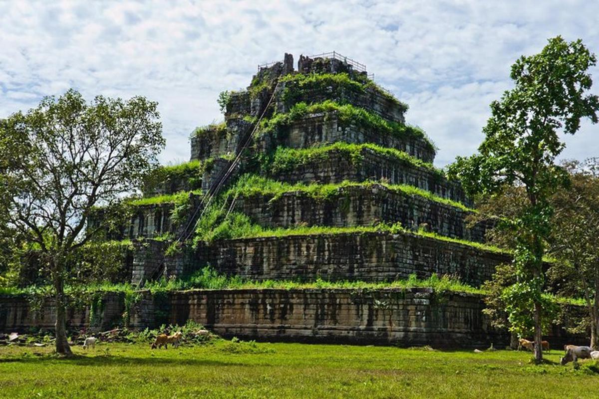 un grande edificio con delle piante che crescono su di esso