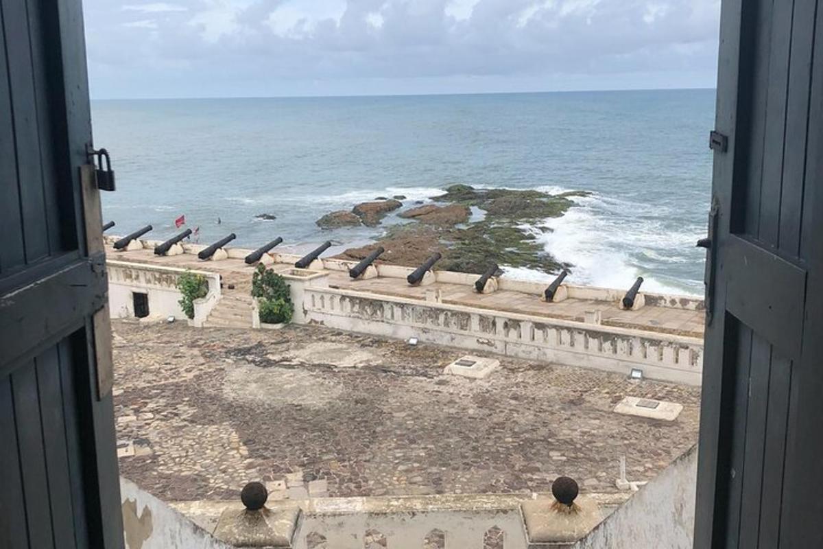 un gruppo di uccelli seduti su una sporgenza vicino all'oceano