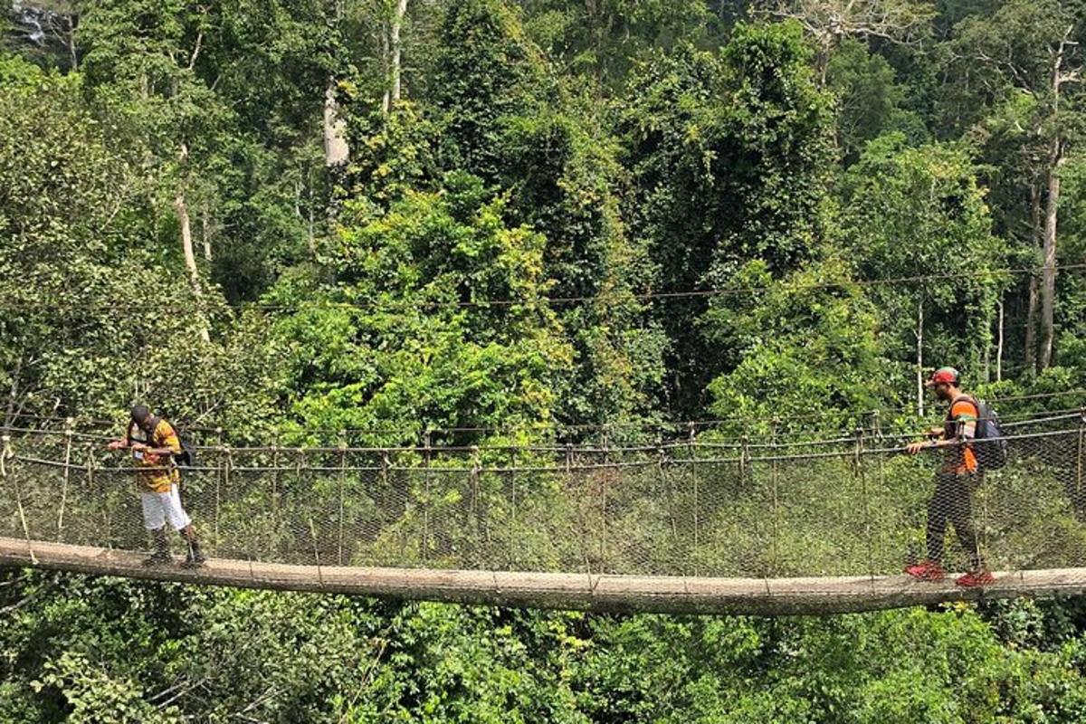 due persone su un ponte sospeso nella giungla