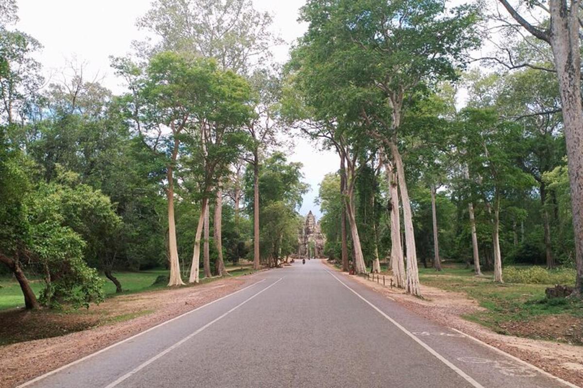 an empty road with trees on either side