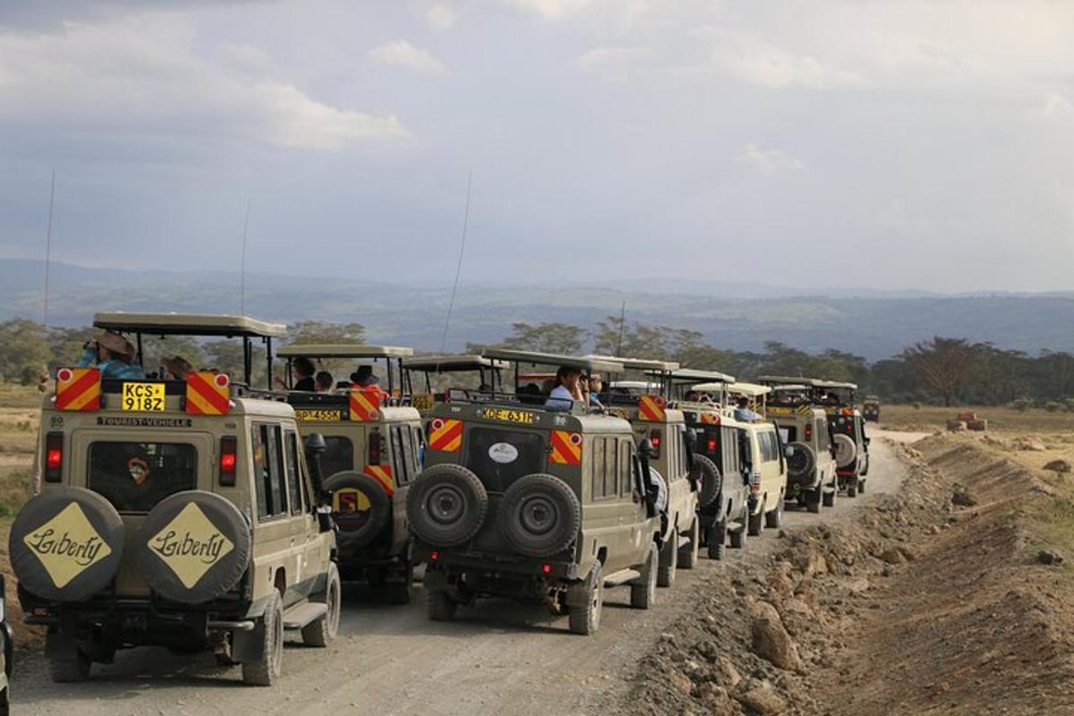 uma fila de veículos de safári descendo uma estrada de terra