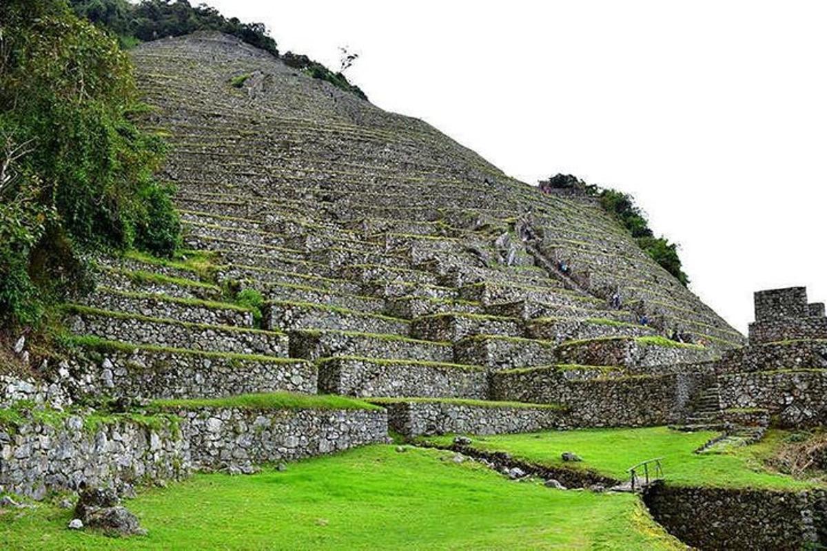 an ancient amphitheater with grass and stone steps