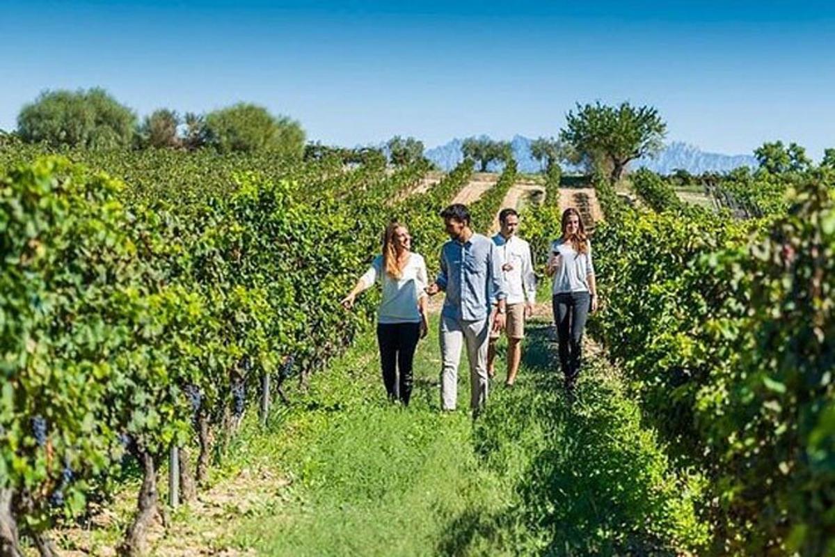 skupina lidí procházejících se vinicí