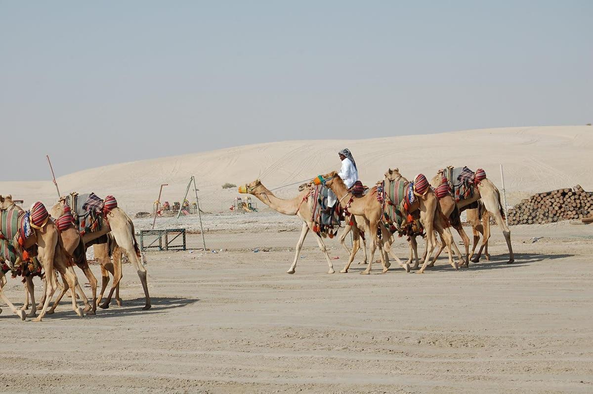 a group of men riding on camels in the desert