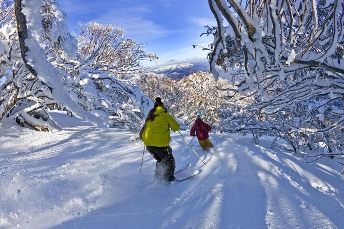 dalawang tao na tumatawid sa country skiing sa pamamagitan ng snow covered forest