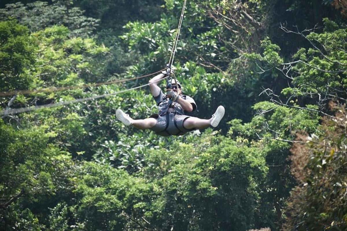 osoba na zip line ve stromech