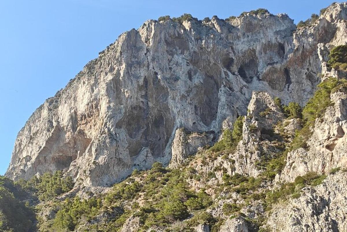 una muntanya rocosa amb arbres al cim