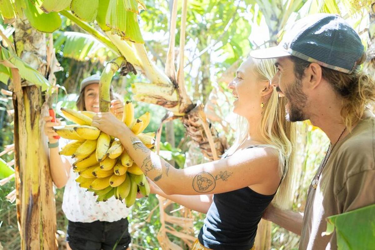 um homem e uma mulher segurando um cacho de bananas