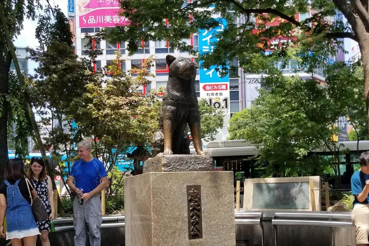 Turistik nokta fotoğrafı 3