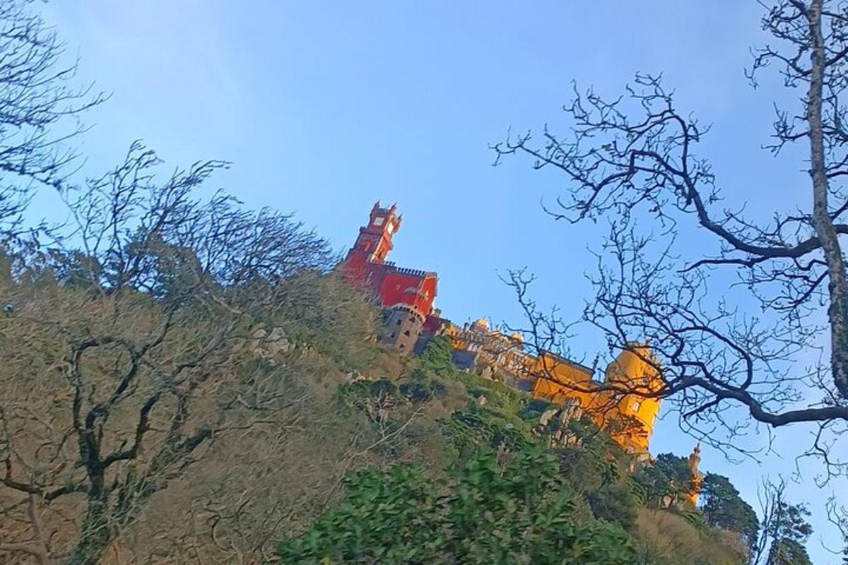 pilis ant kalvos su medžiais