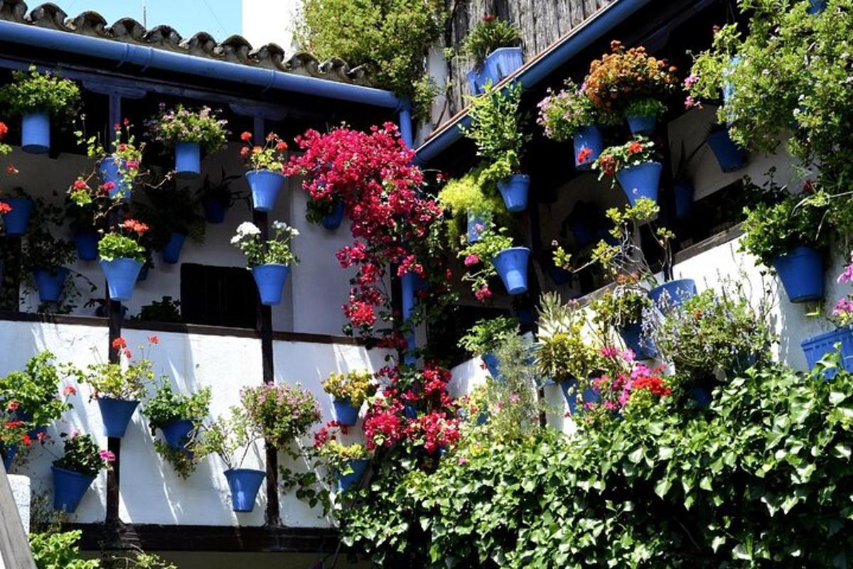 a bunch of potted plants on the side of a building