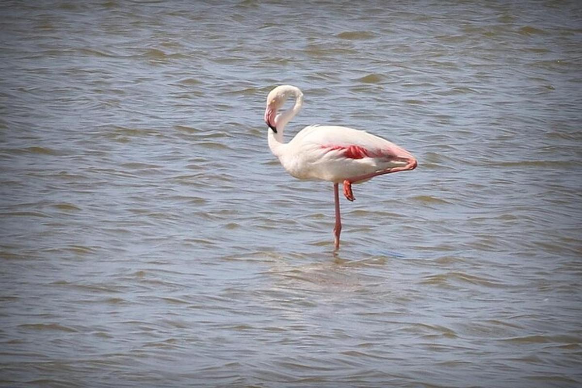 Fotografia da atração 4