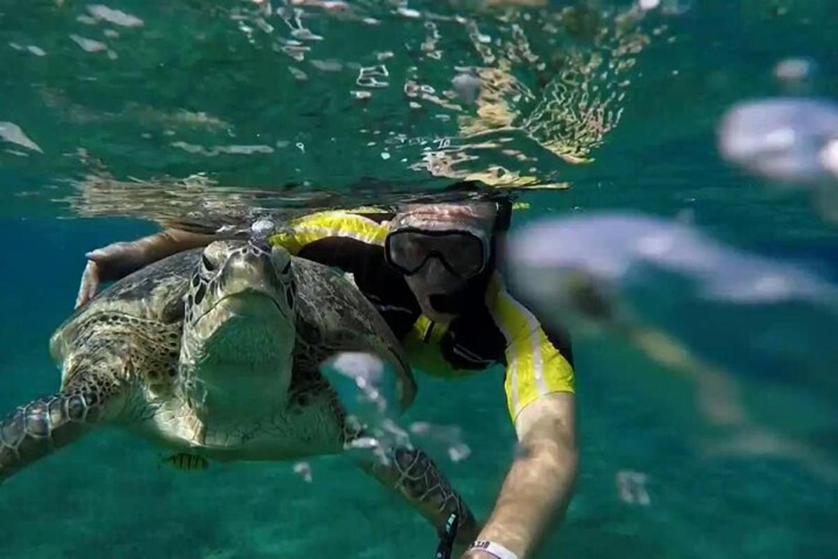 osoba plavající ve vodě s želvou