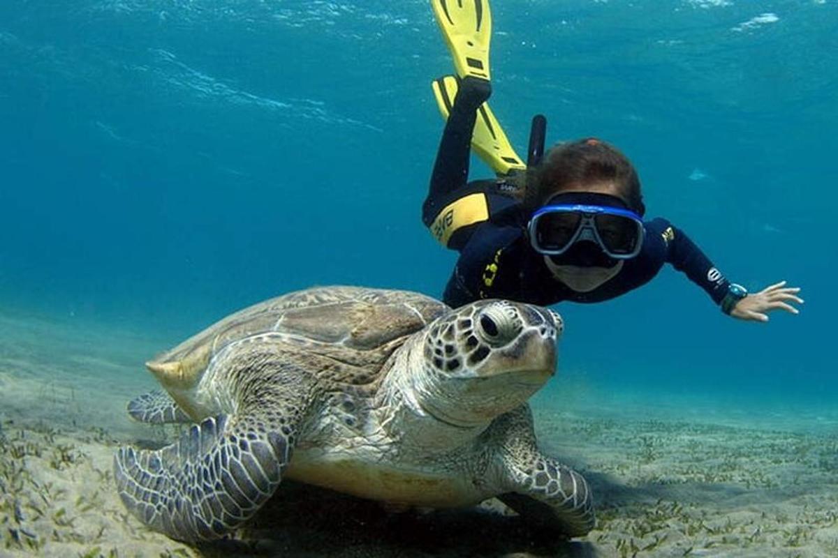 un homme dans un tuba au-dessus d'une tortue dans l'océan