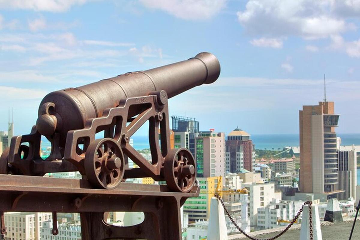 a statue of a cannon with a city in the background