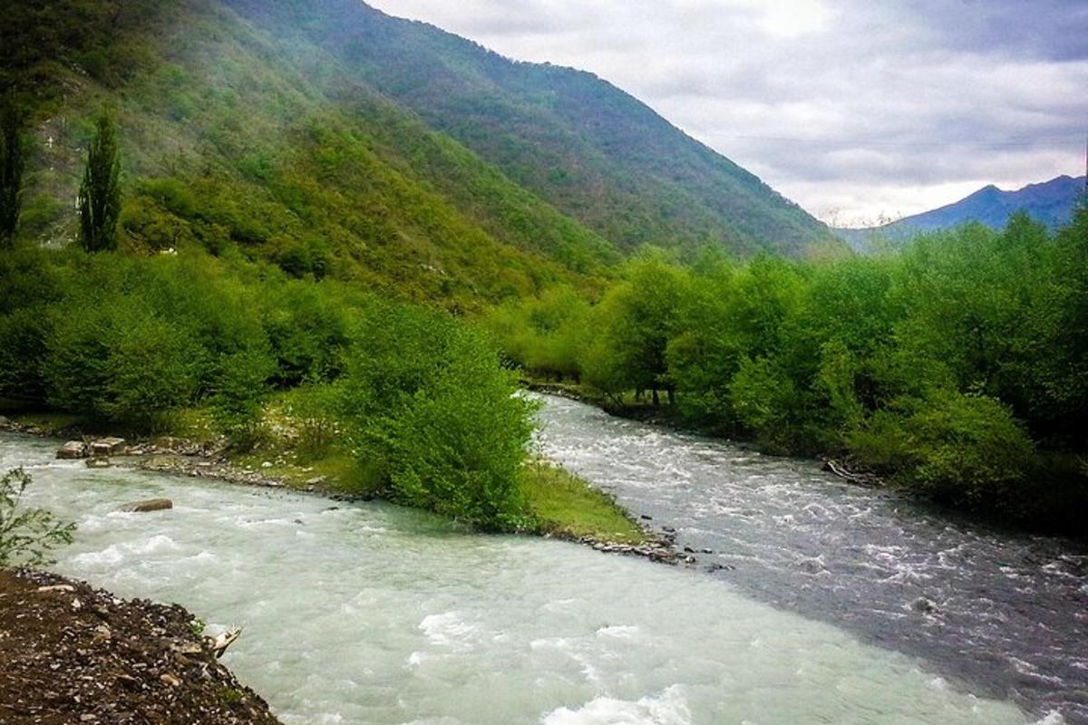 sungai di lembah dengan pokok dan gunung