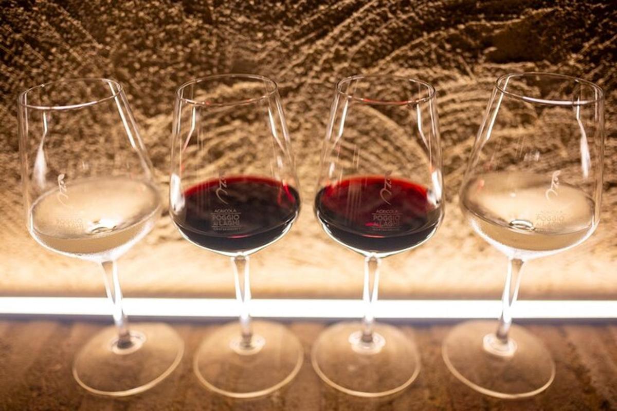 vier Gläser Rotwein in einem Fenster