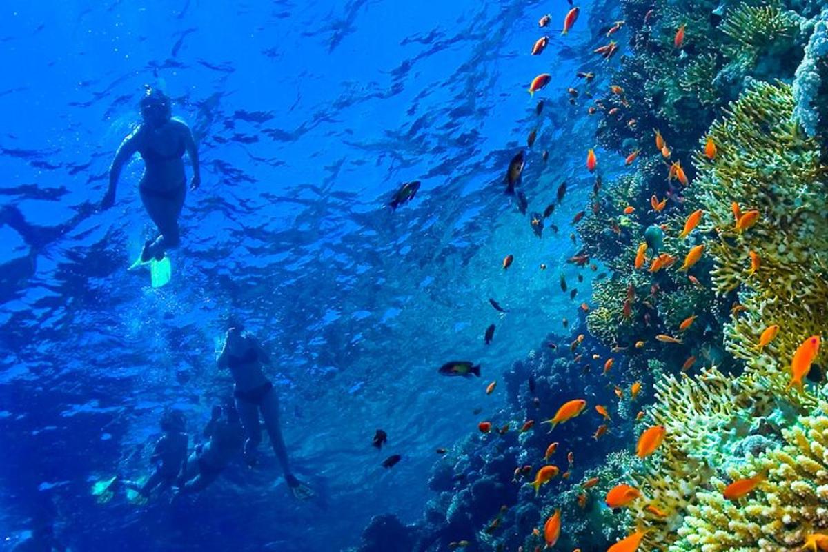 due persone nell'oceano che guardano una barriera corallina