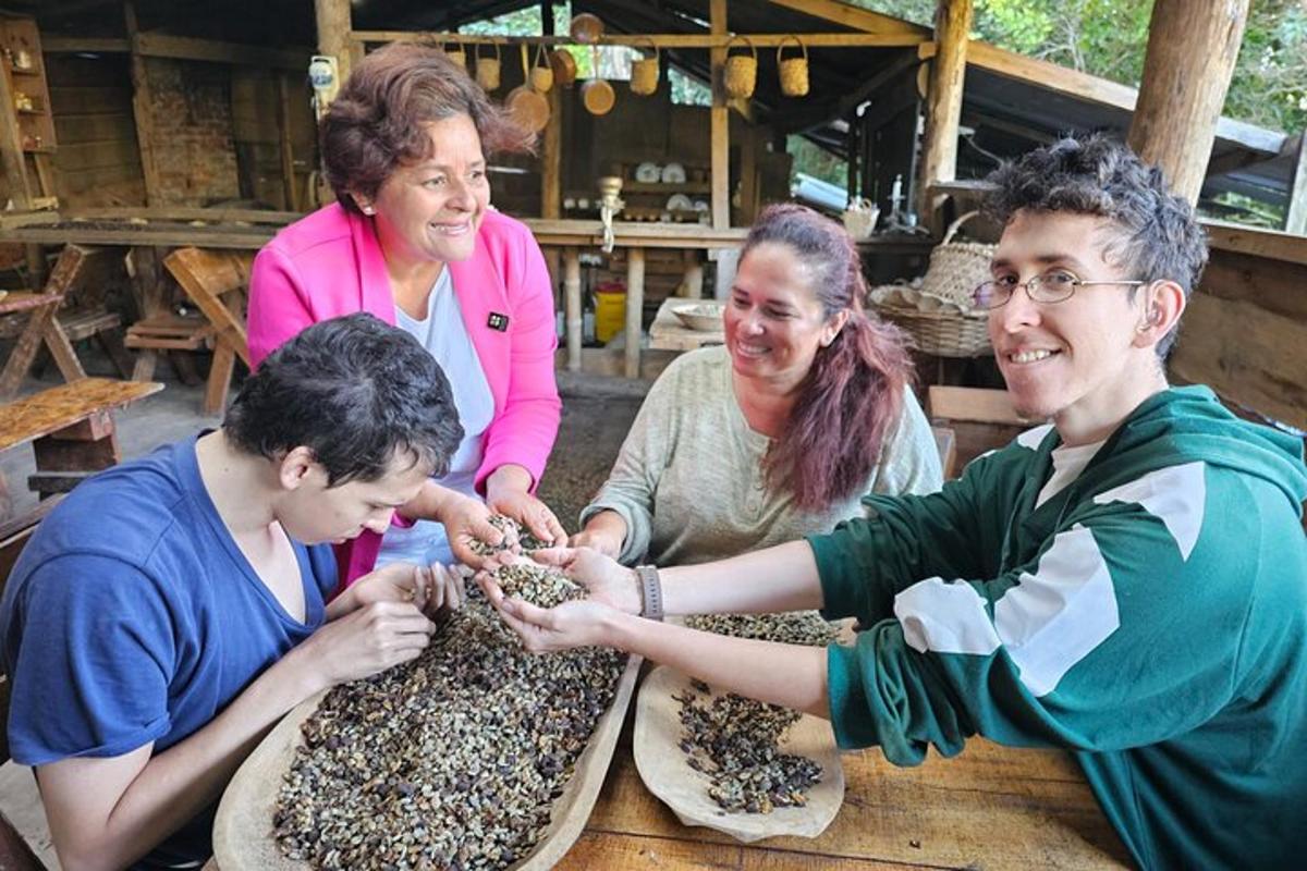 תמונה מספר 1 של האטרקציה