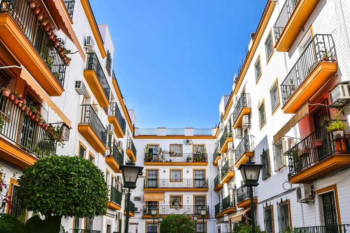 a row of tall buildings with balconies and a tree