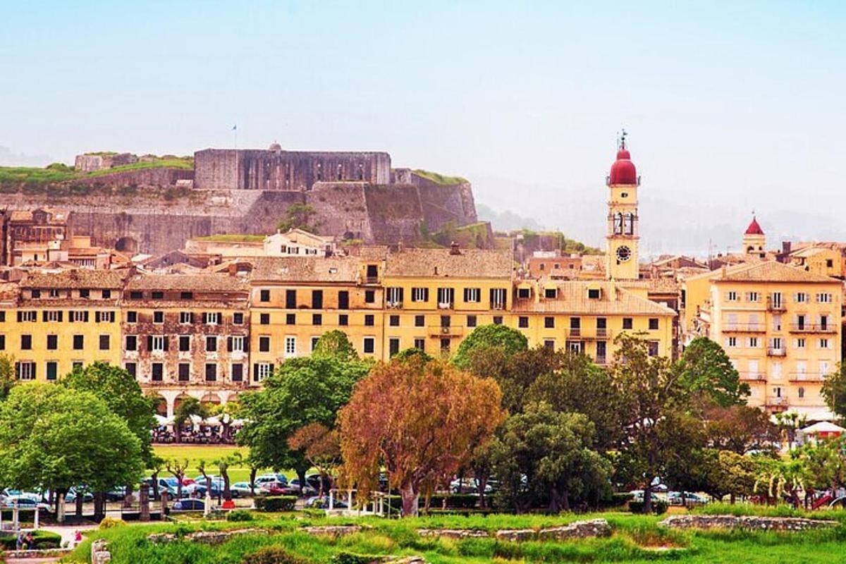 a view of a city with a castle in the background