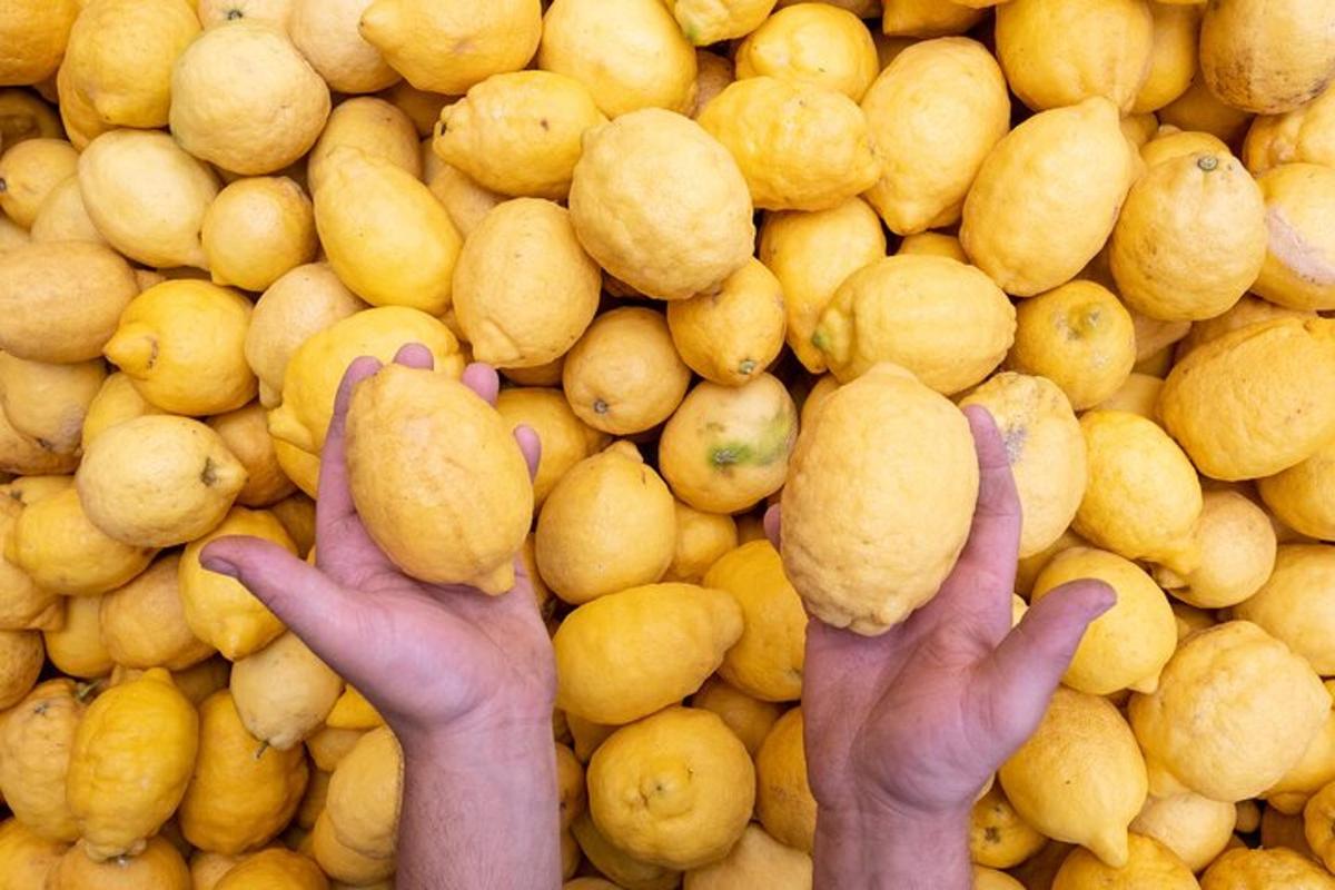 oseba, ki drži šop limon ob steni