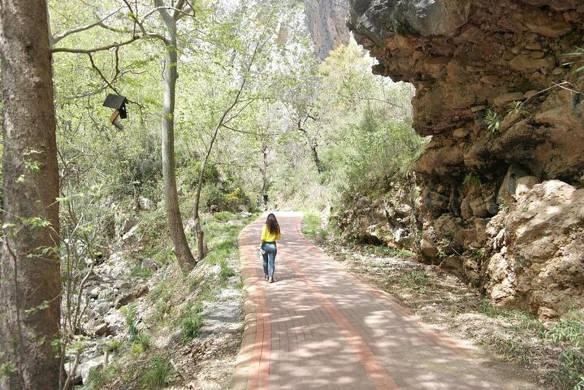 a woman walking down a road in the woods