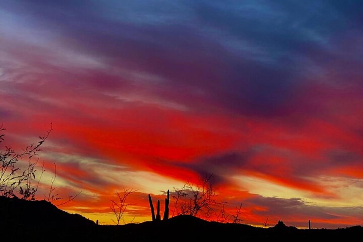 Un atardecer rojo con un cactus en primer plano