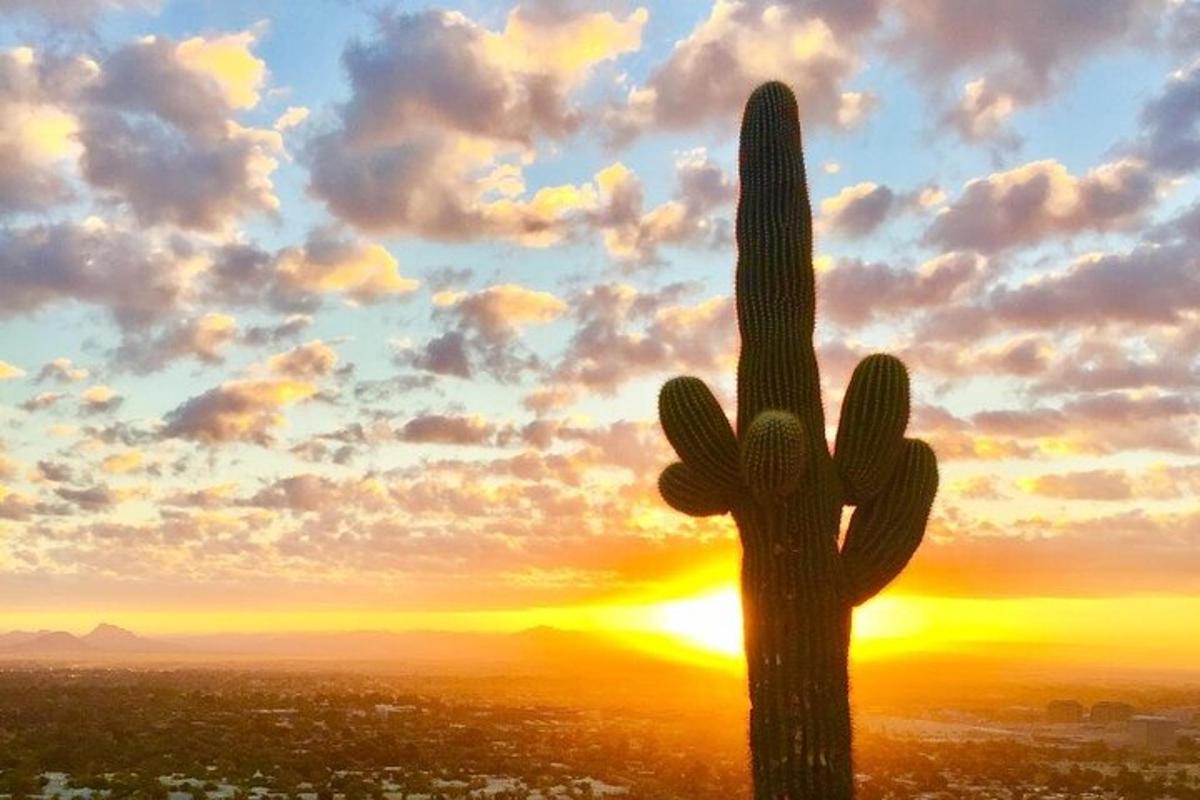 Un cactus saguaro frente a un atardecer