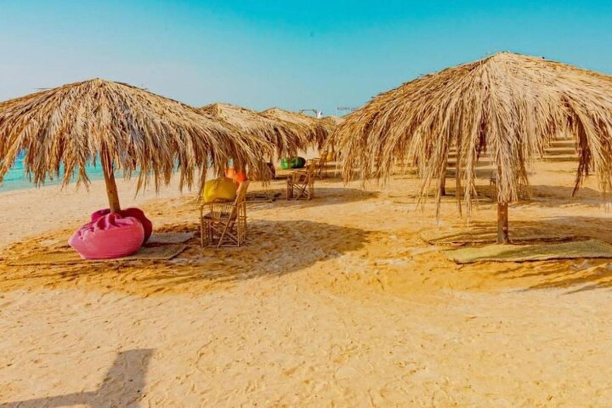 un gruppo di ombrelloni di paglia e sedie su una spiaggia
