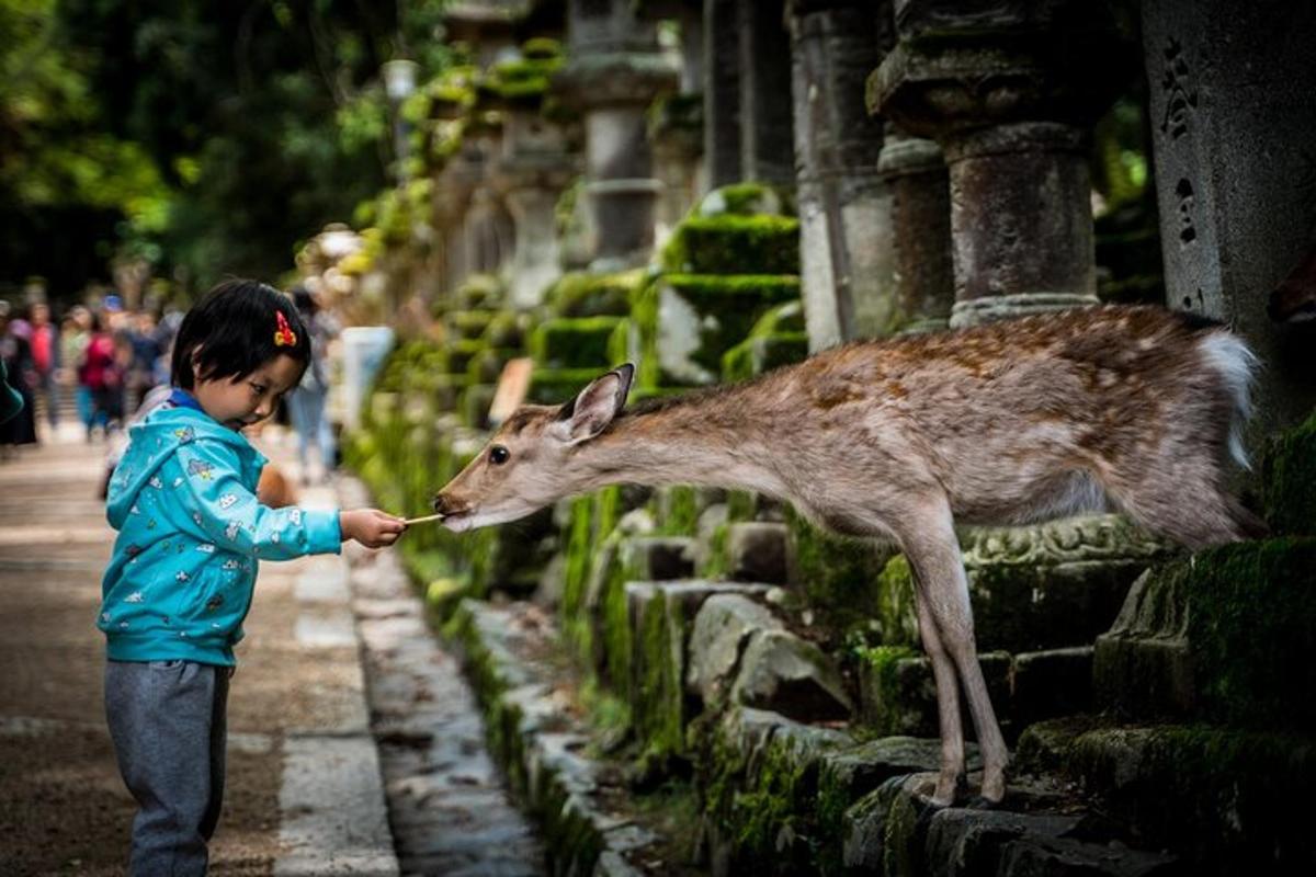 5 foto atraksi wisata